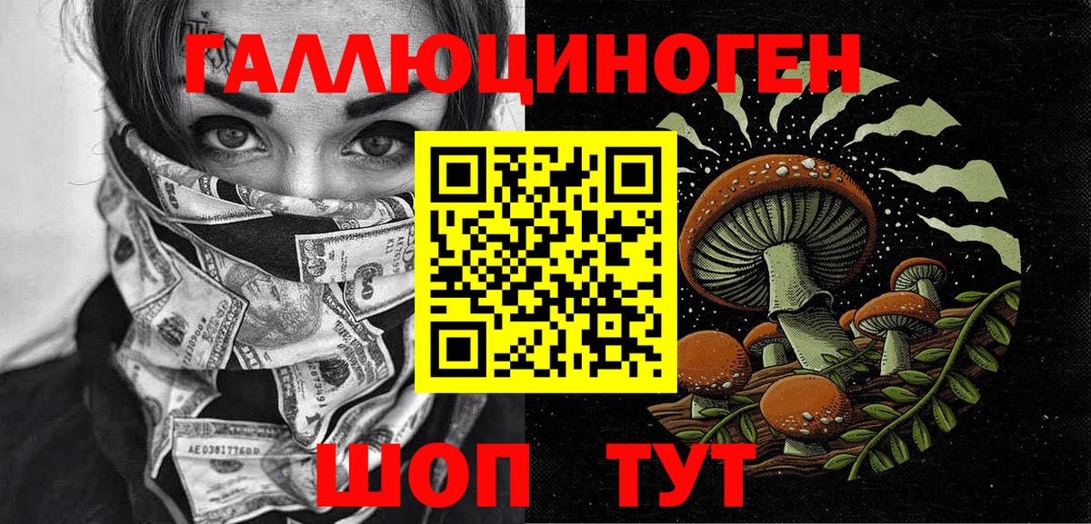 Псилоцибиновые грибы прущие грибы  Псилоцибиновые грибы MAGIC MUSHROOMS  Шали  закладка  Вход с VPN 